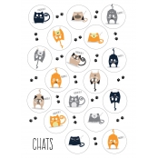 Gommettes chats de 0,5 à 4,5 cm 98 pièces