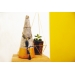 Array.produit_nom_nom