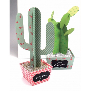 4557 - 3700443545577 - MegaCrea DIY - Maquette en carton à assembler Cactus 29 à 33 cm 4 pièces