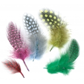 Plumes Assortiment multicolores 10 cm 50 pièces