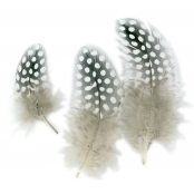 Plumes Assortiment naturel 10 cm 50 pièces