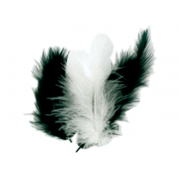 2363 - 3700443523636 - MegaCrea DIY - Plumes Assortiment noir blanc 10 cm 50 pièces