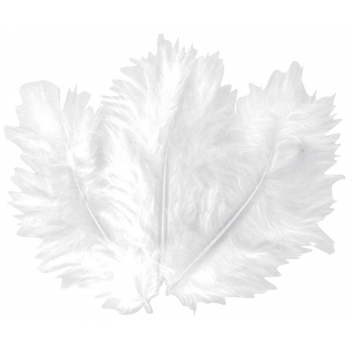 2367 - 3700443523674 - MegaCrea DIY - Plumes blanches 5-10 cm 50 pièces