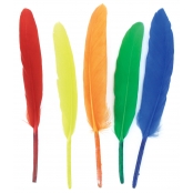 Plumes indiennes multicolores Activités enfant 7 à 15 cm 120 pièces