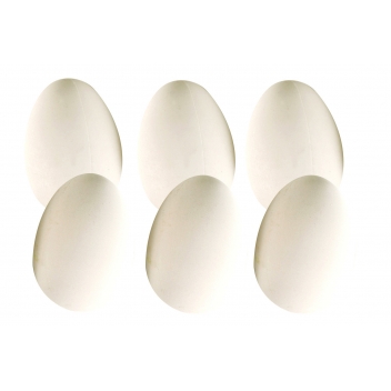 8090 - 3700443580905 - MegaCrea DIY - Oeuf en plastique 6 x 4,5 cm Blanc 6 pièces - 4