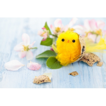 3236 - 3700443532362 - MegaCrea DIY - Poussins en chenille de soie 2,5 cm 12 pièces