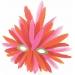 Array.produit_nom_nom\
