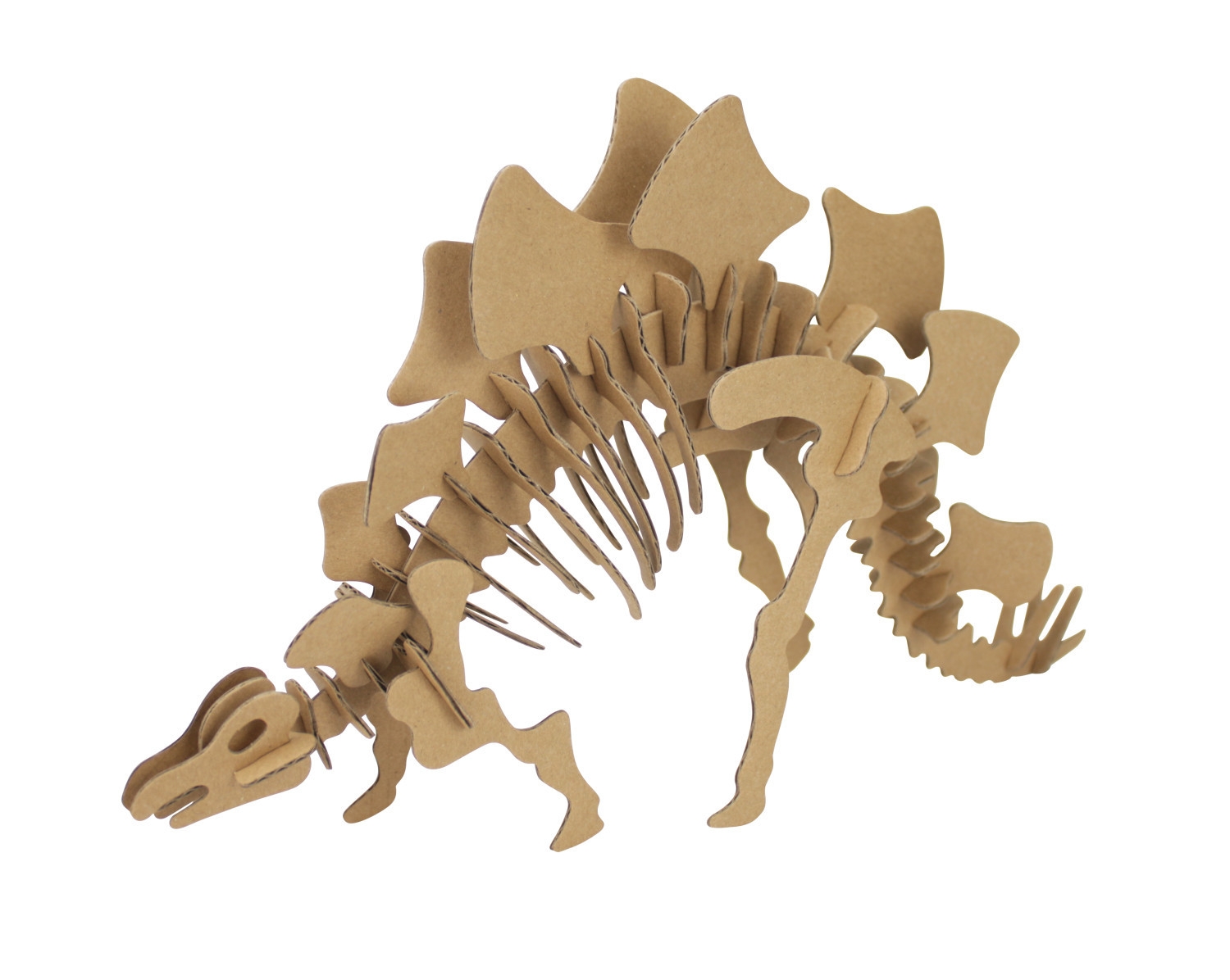 Pâte A Modeler - Squelettes De Dinosaures En Bois