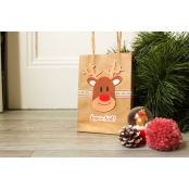 Ruban imprimé Noël 1m vert et rouge 5 pièces