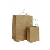 Sac cadeau kraft et doré 2 pièces