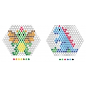 Perles d\'eau Dragon Dinosaure Activité pour enfant 6 ans