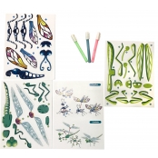 Kit enfant Mes drôles d\'insectes phosphorescents