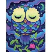 Kit diamond painting Midnight owl 30 x 40 cm