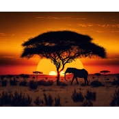 Kit diamond painting Savane 40 x 50 cm