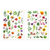 Stickers herbier 1,2 à 6 cm 73 pièces