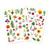 Stickers herbier 1,2 à 6 cm 73 pièces