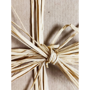 8600 - 3700443586006 - MegaCrea DIY - Raphia naturel 50 g - 2
