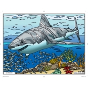 Tableau Velours à colorier Le Requin