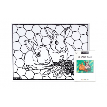 LAD006 - 769503293202 - LudoColor - Tableau Velours à colorier Les Lapins - France - 2