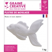 Plâtre de moulage 1 kg