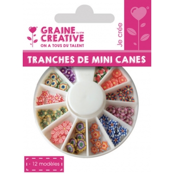 269004 - 3471052690049 - Graine créative - Tranches de canes MINI MINI Fleur vive - 2
