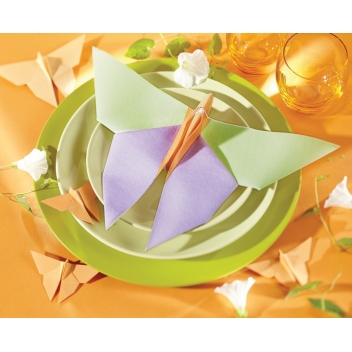 672509 - 4037698007888 - Graine créative - Serviette origami Papillon 2 12 pièces - 2