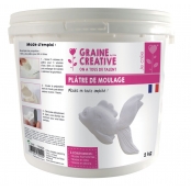 Plâtre de moulage 5 kg