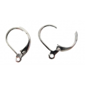 Boucles d'oreilles dormeuses Argenté 1 paire