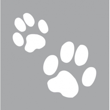 Pochoir 8 X 8 Cm Patte De Chat Graine Creative Reference