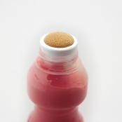 Peinture à l'éponge pour enfant 6 flacons mousse