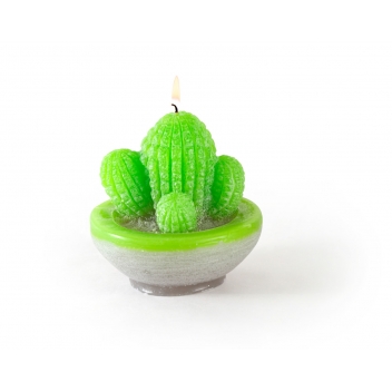 143440 - 3471051434408 - Graine créative - Moule à bougie en latex Cactus - France - 2