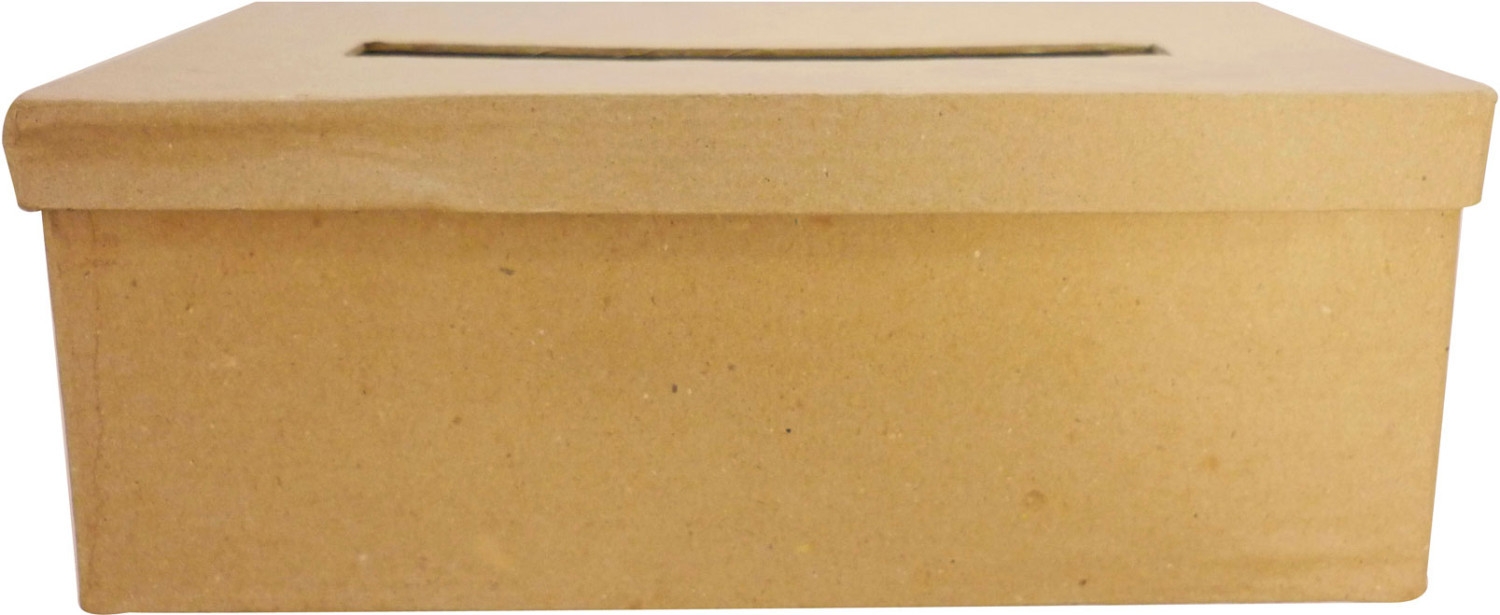 Boite à mouchoirs en Carton 23 cm - Graine créative référence 650165