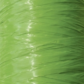 Raphia synthétique Vert vif 125 g