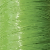 Raphia synthétique Vert vif 40 g