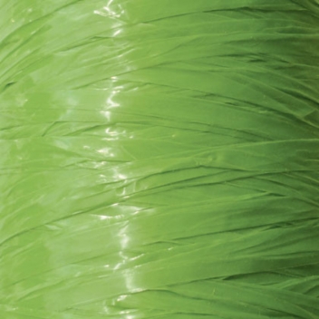 241151 - 3532432411514 - Graine créative - Raphia synthétique Vert vif 40 g