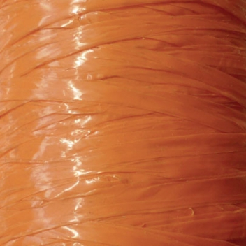 241153 - 3532432411538 - Graine créative - Raphia synthétique Orange 40 g