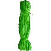 Raphia végétal vert printemps en bobine 50 g