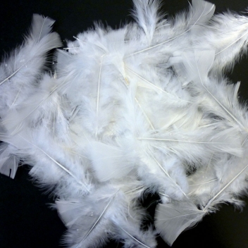 460103 - 3532434601036 - Graine créative - Plumes Blanches 250g - 2
