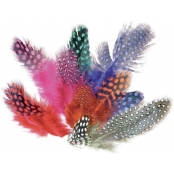 Plumes pintades colorées 12,5cm