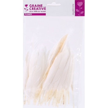 460190 - 3532434601906 - Graine créative - Plumes d'indien pour activités enfant Blanches 15cm