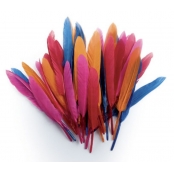 Plumes d'indien pour activités enfant Assortiment 15cm