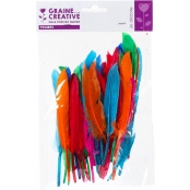 Plumes d'indien pour activités enfant Assortiment 15cm