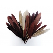 Plumes d'indien pour activités enfant Camaieu chocolat 15cm