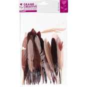 Plumes d'indien pour activités enfant Camaieu chocolat 15cm