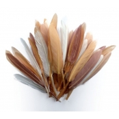 Plumes d\'indien pour activités enfant Camaieu beige 15cm