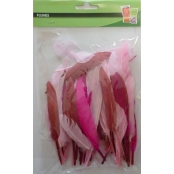 Plumes d'indien pour activités enfant Camaieu rose 15cm