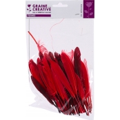 Plumes d'indien pour activités enfant Camaieu rouge 15cm