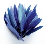 Plumes d'indien pour activités enfant Camaieu bleu 15cm