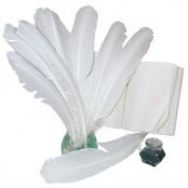 Plumes indiennes pour activités manuelles enfant 10 plumes blanches