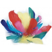 Plumes coquille d'oie coloris assortis 12g